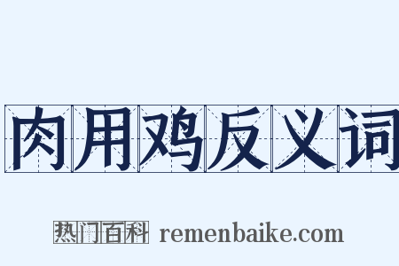肉用鸡反义词是什么意思的图片